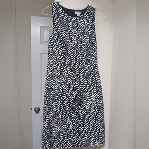 J Crew Navy and White Dress